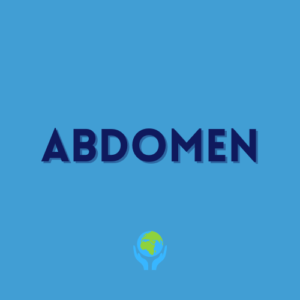 Abdomen Lessons