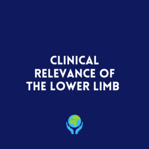 Clinical Relevance Of Lower Limb