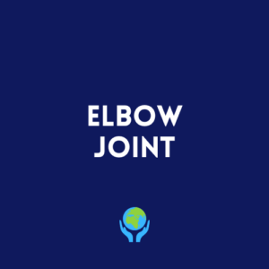 Elbow Joint