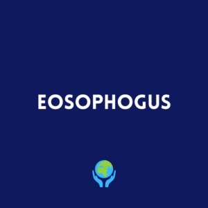 Eosophogus
