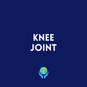 Knee Joint