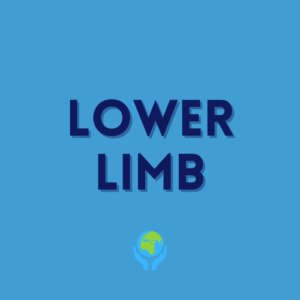 Lower Limb Lessons