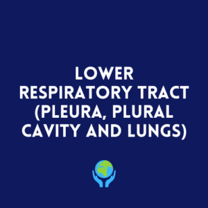 Lower Respiratory Tract (Pleura, Pleural Cavity and Lungs)