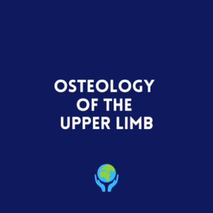 Osteology of the Upper Limb
