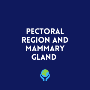 Pectoral Region and Mammary Gland