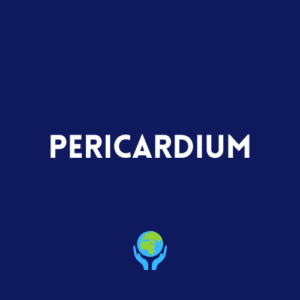 Pericardium