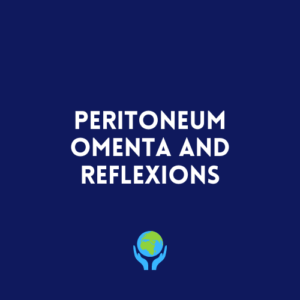 Peritoneum, Omenta and Reflexions