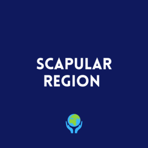 Scapular Region