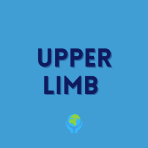 Upper Limb Lessons