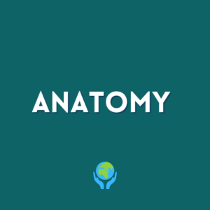 1-Anatomy Lessons