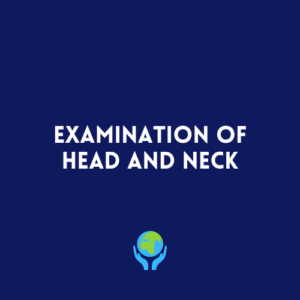 Examination of the Head and Neck