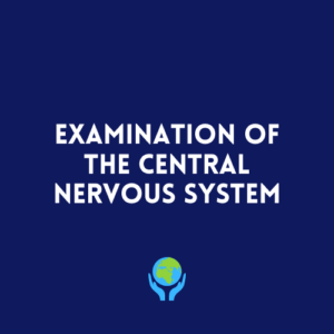 Examination of the Central Nervous System