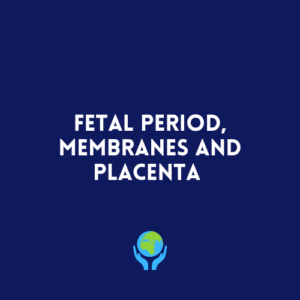 Fetal Period, Membranes and Placenta