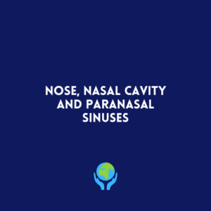 Nose, Nasal Cavity and Paranasal Sinuses