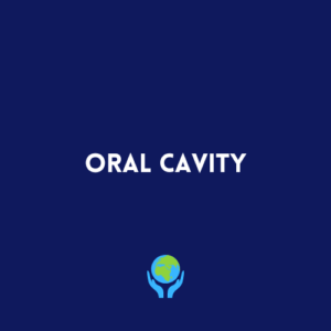 Oral Cavity