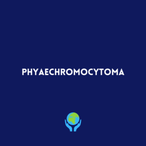 Phyaechromocytoma