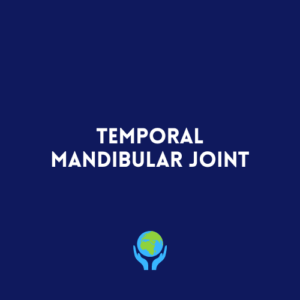 Temporal Mandibular Joint