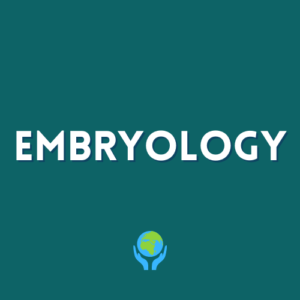 2-Embryology Lessons